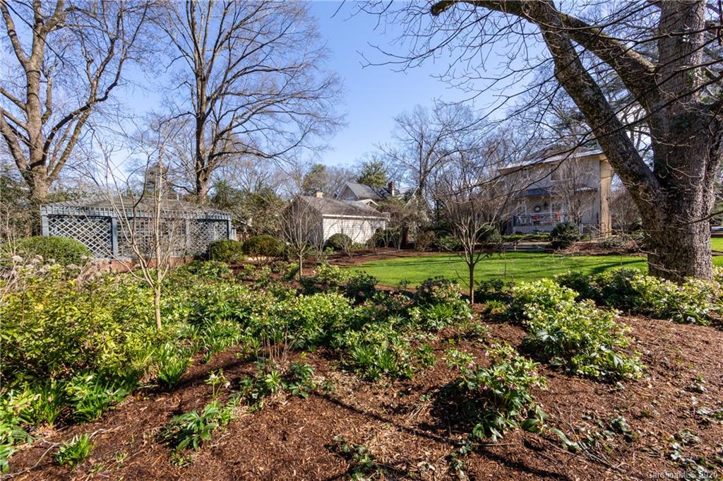 1042 Queens Road West Charlotte, NC 28207 - Photo 39 of 48 Gallery Image 39