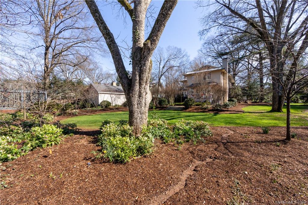 1042 Queens Road West Charlotte, NC 28207 - Photo 40 of 48 Gallery Image 40