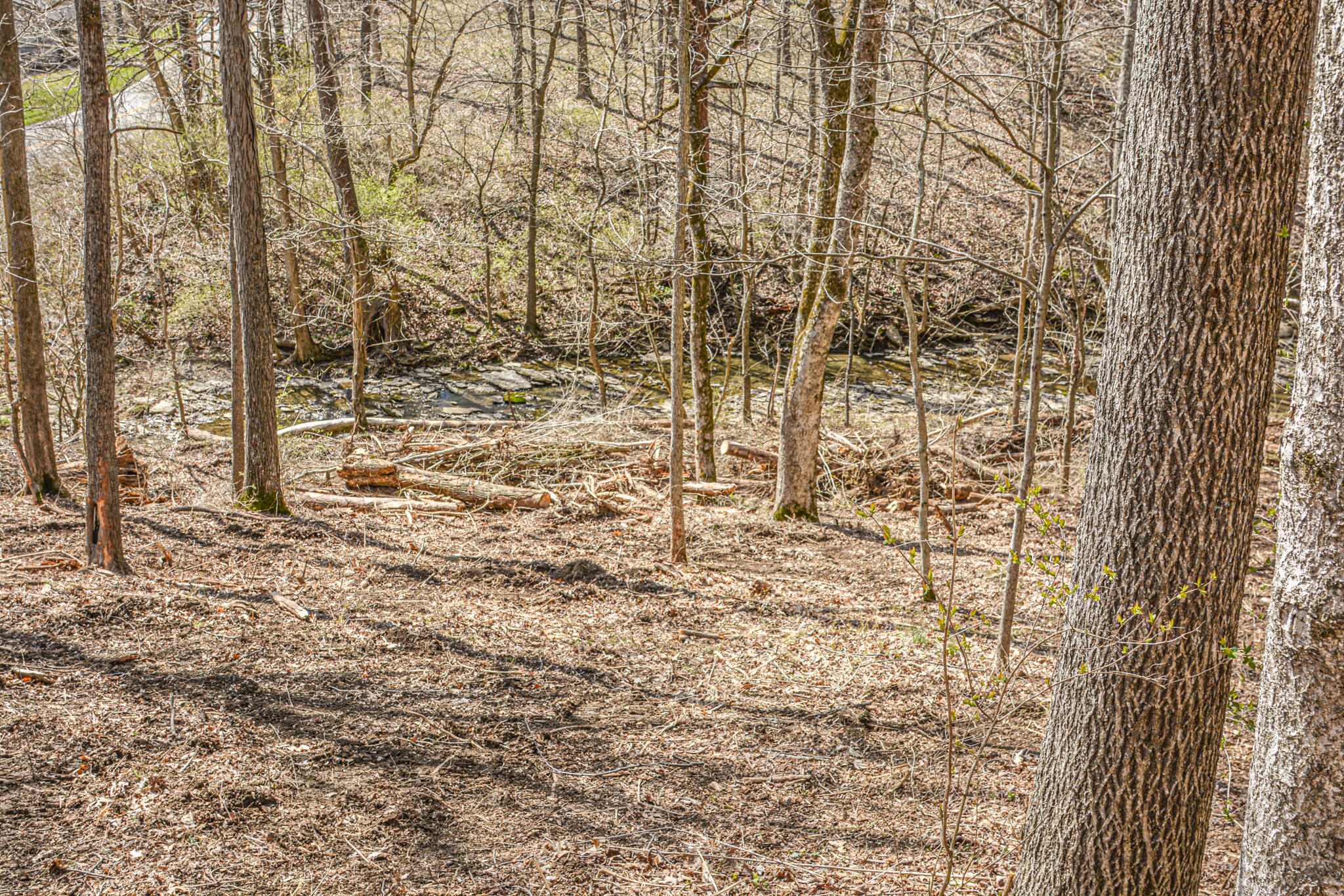 Lot 1 Idlewild Road Burlington, KY 41005 - Photo 23 of 24 Gallery Image 23