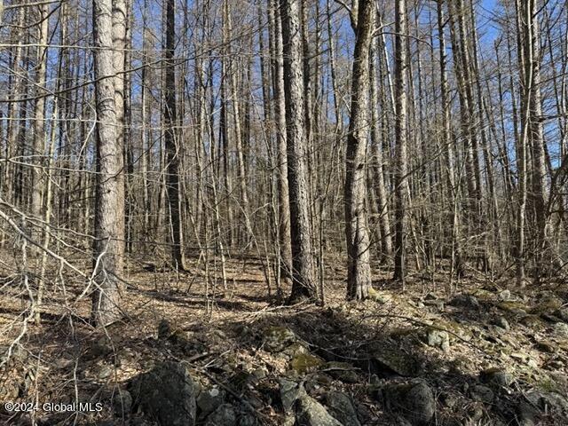 201 Alps Mountain Road Sand Lake, NY 12018 - Photo 11 of 16 IMG_2250 Medium
