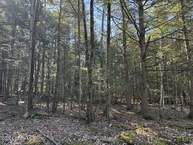 201 Alps Mountain Road Sand Lake, NY 12018 - Photo 12 of 16 IMG_2252 Medium