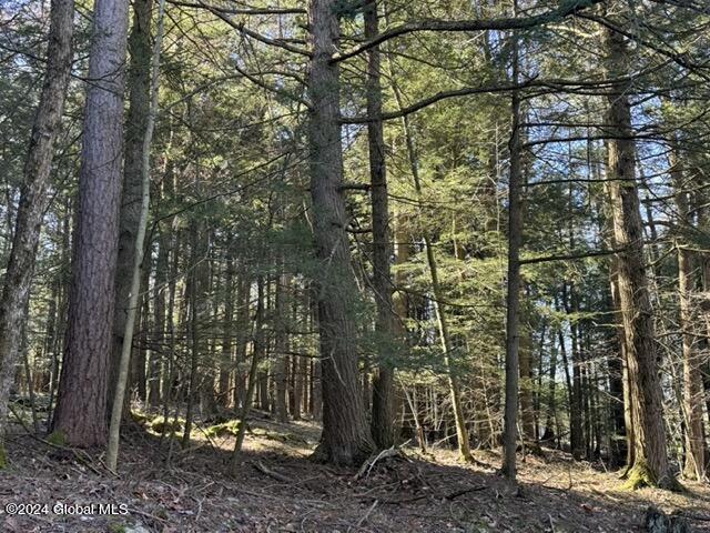 201 Alps Mountain Road Sand Lake, NY 12018 - Photo 14 of 16 IMG_2254 Medium