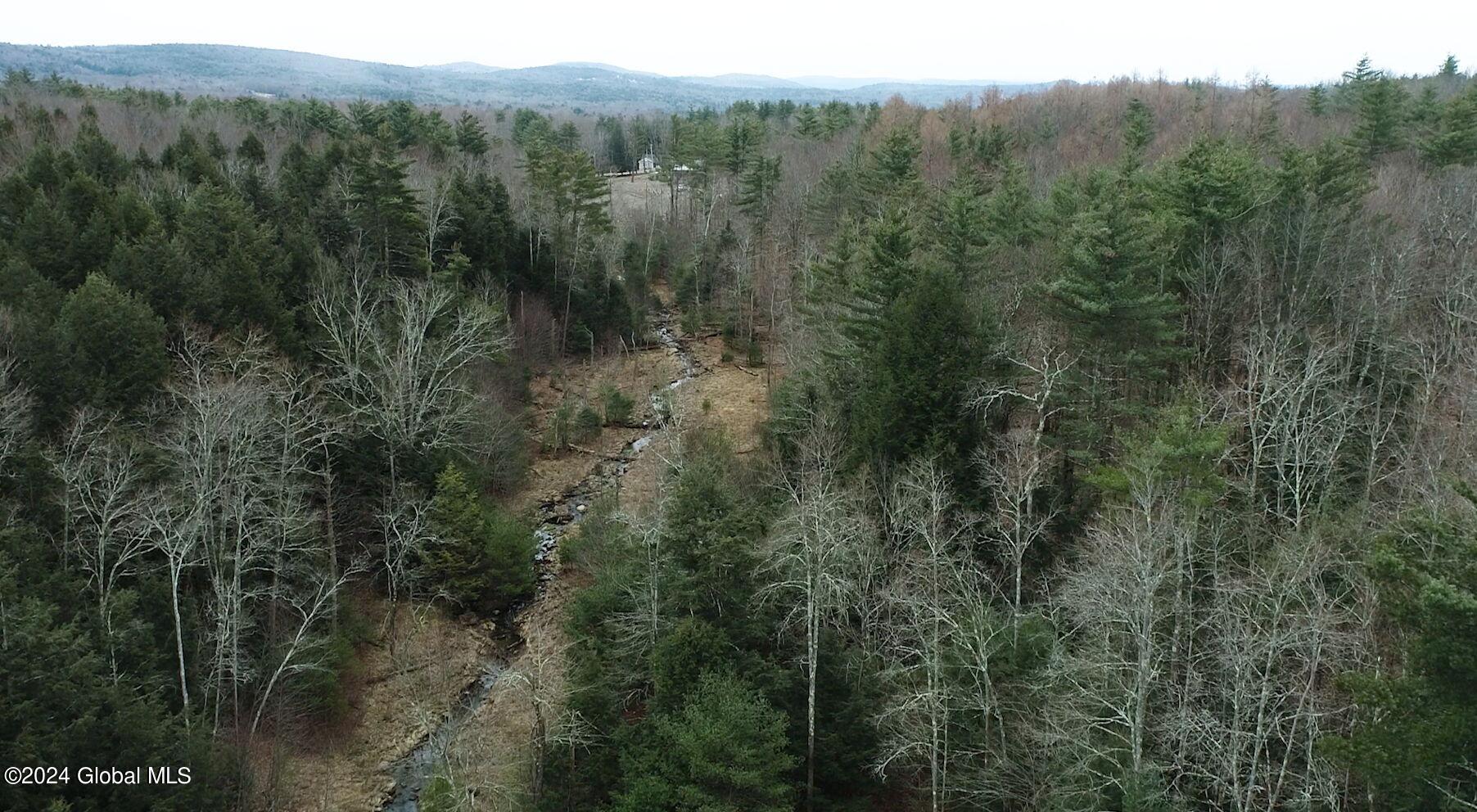 201 Alps Mountain Road Sand Lake, NY 12018 - Photo 3 of 16 1-web-or-mls-alps-mountain-rd