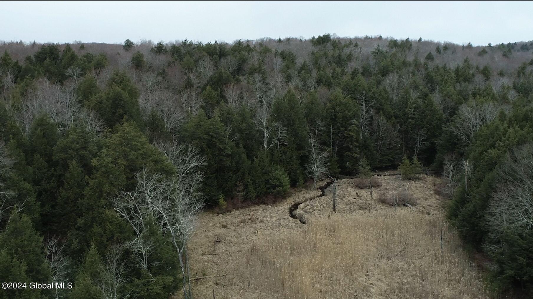 201 Alps Mountain Road Sand Lake, NY 12018 - Photo 4 of 16 3-web-or-mls-alps-mountain-rd