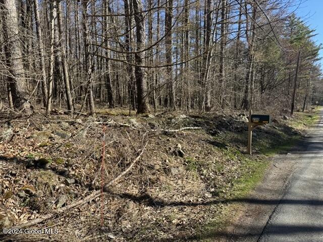 201 Alps Mountain Road Sand Lake, NY 12018 - Photo 7 of 16 IMG_2246 Medium
