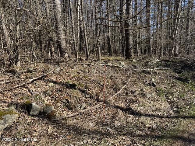 201 Alps Mountain Road Sand Lake, NY 12018 - Photo 8 of 16 IMG_2247 Medium