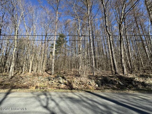 201 Alps Mountain Road Sand Lake, NY 12018 - Photo 10 of 16 IMG_2249 Medium