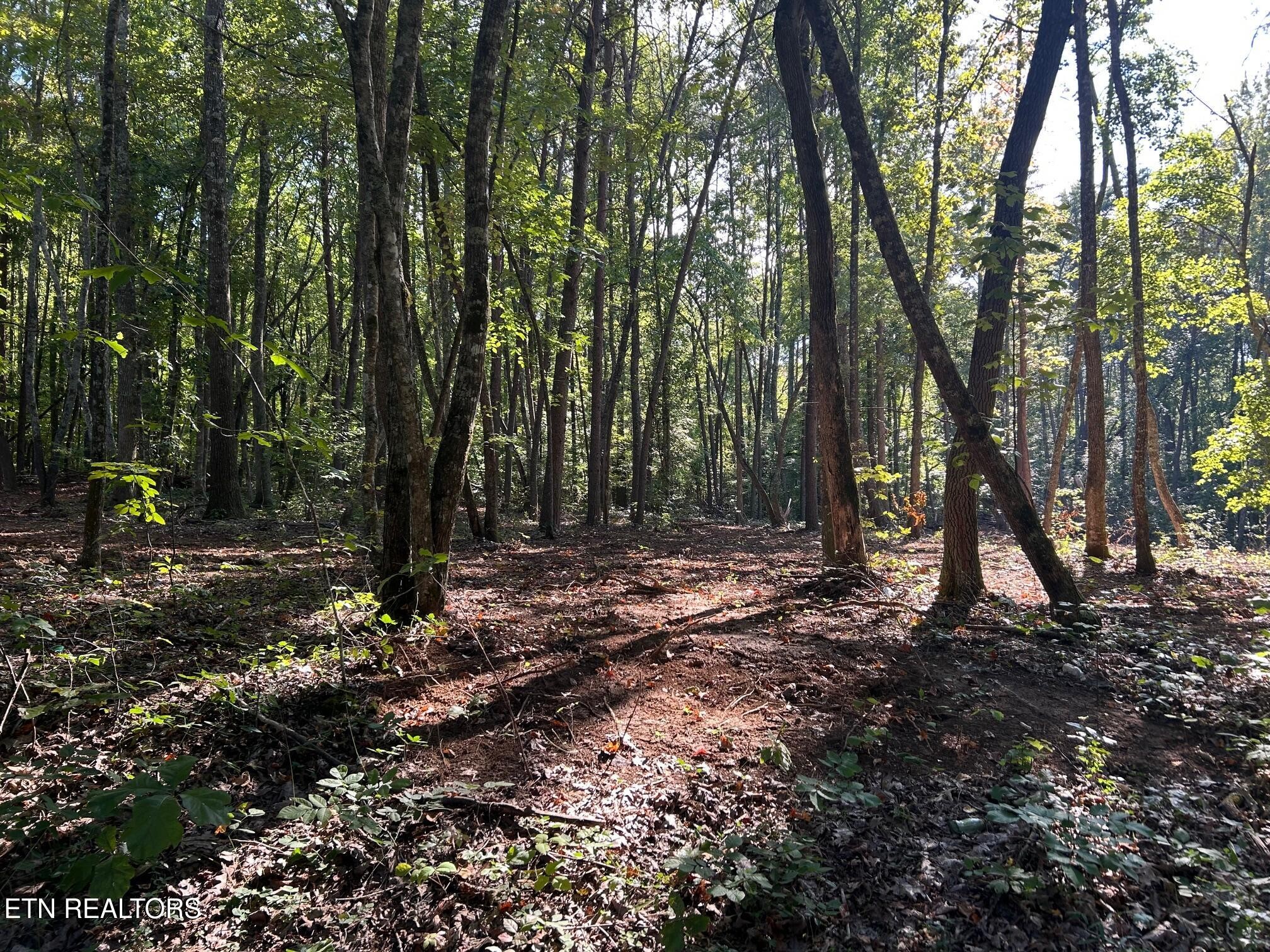 6 Pleasant Hill Road Ten Mile, TN 37880 - Photo 11 of 11