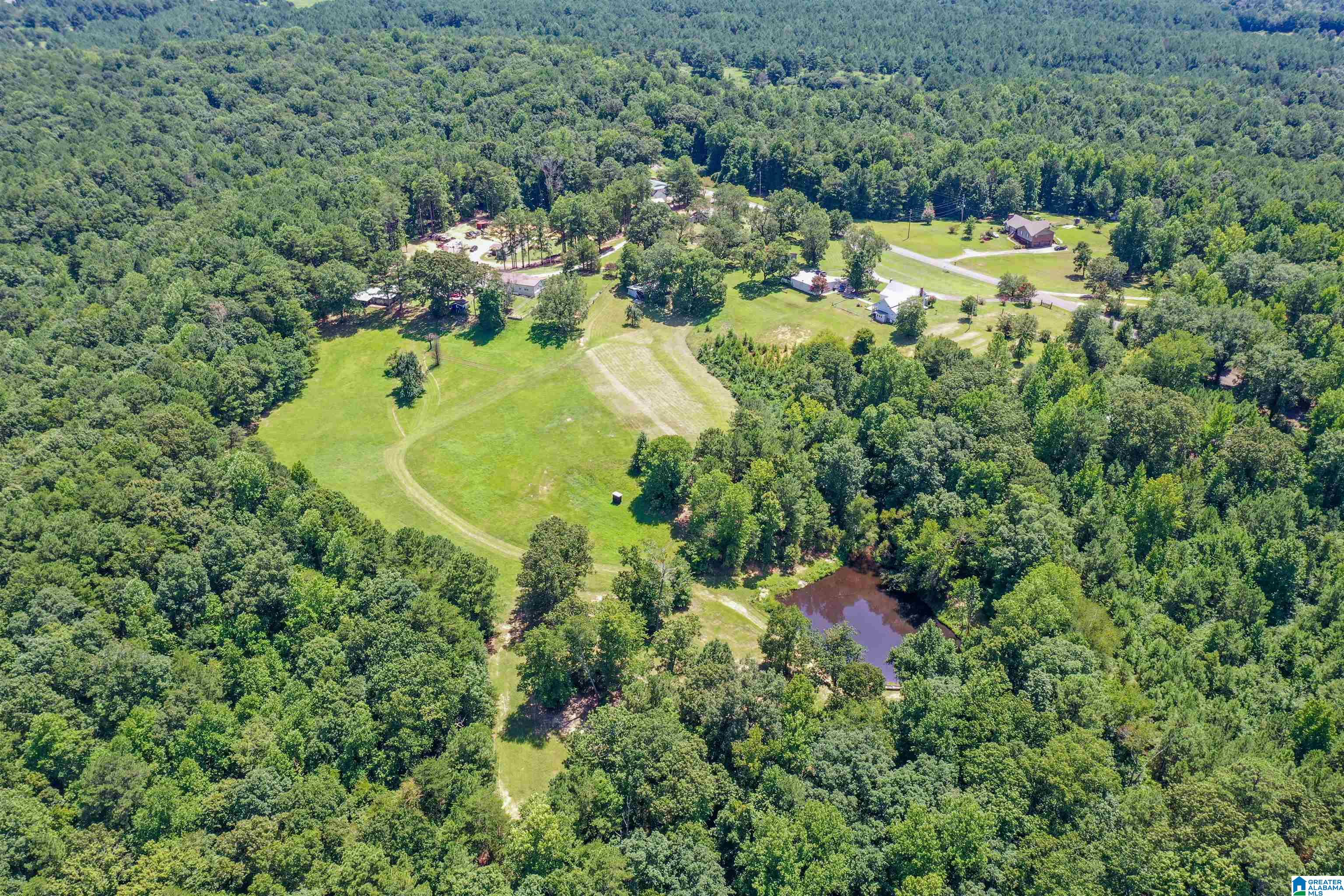 939 Buddy Vines Camp Road Bessemer, AL 35023 - Photo 65 of 79