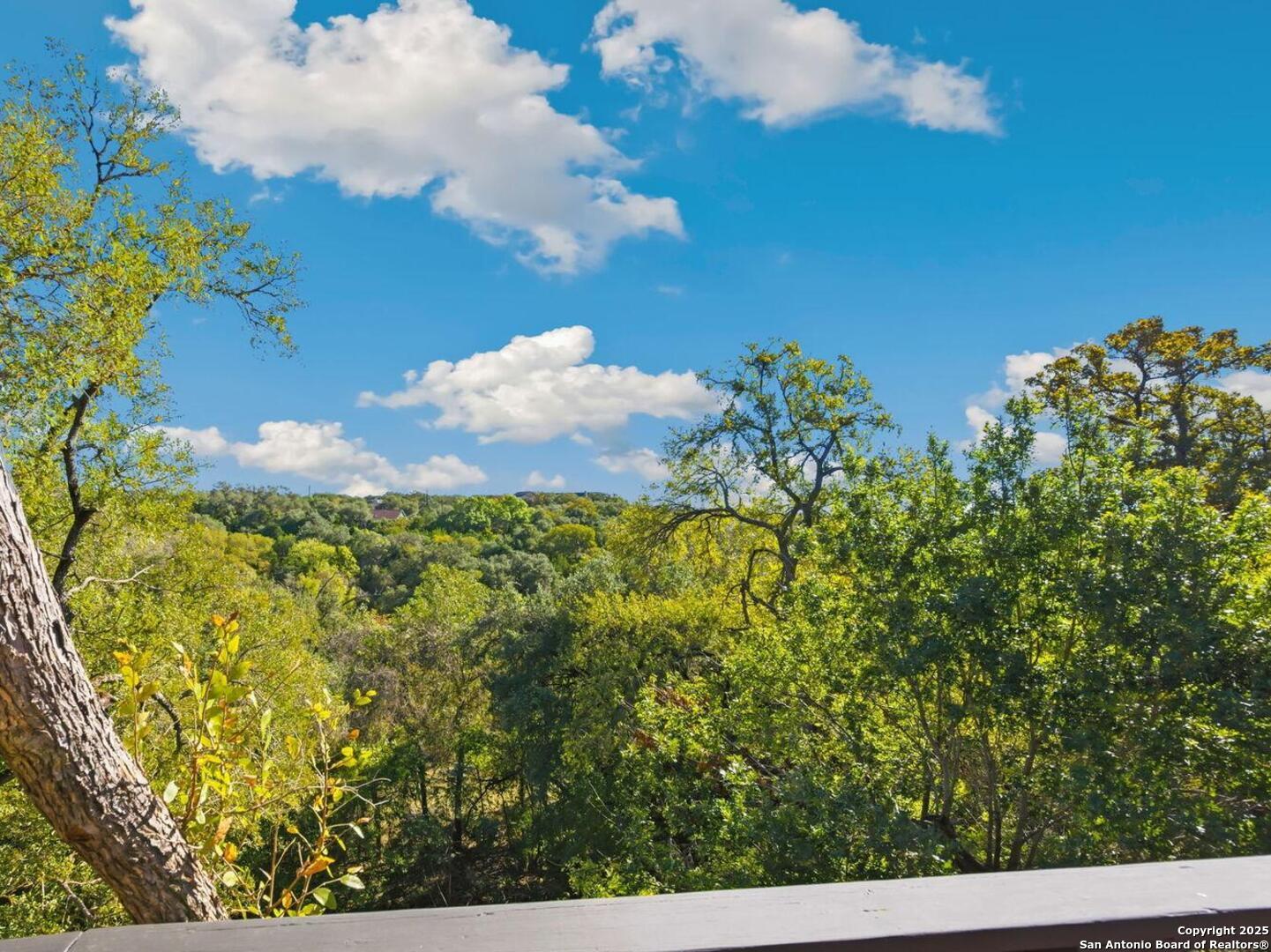 3119 Tanglewood Trail Spring Branch, TX 78070 - Photo 3 of 41 a view of a lake