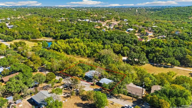 a view of a big yard with lots of bushes