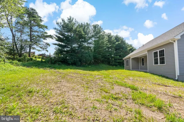 a view of backyard with green space