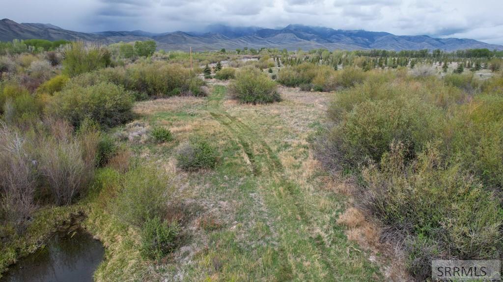 4200 4200 North Mackay, ID 83251 - Photo 4 of 43