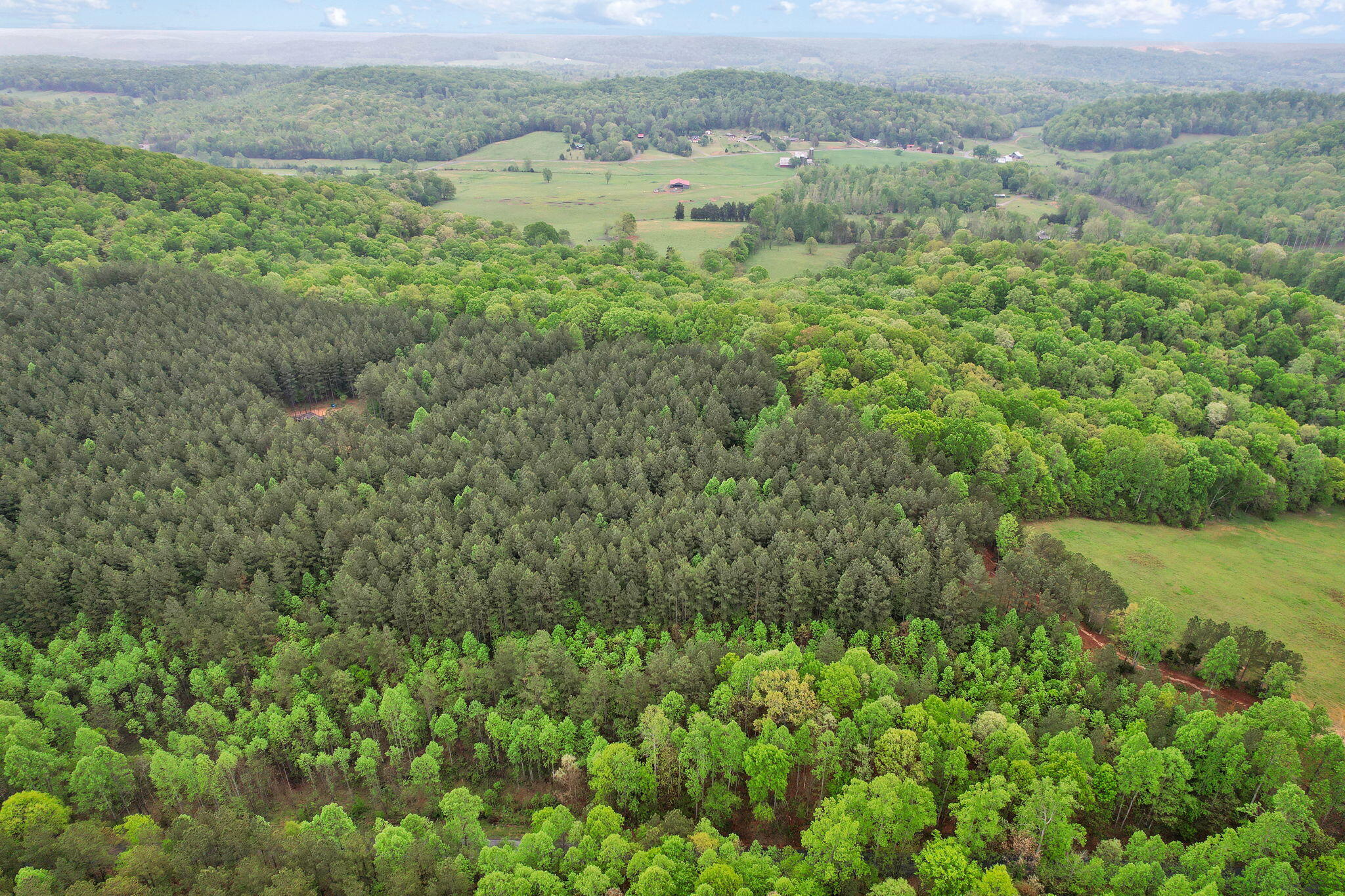 1-web-or-mls-DJI_0013