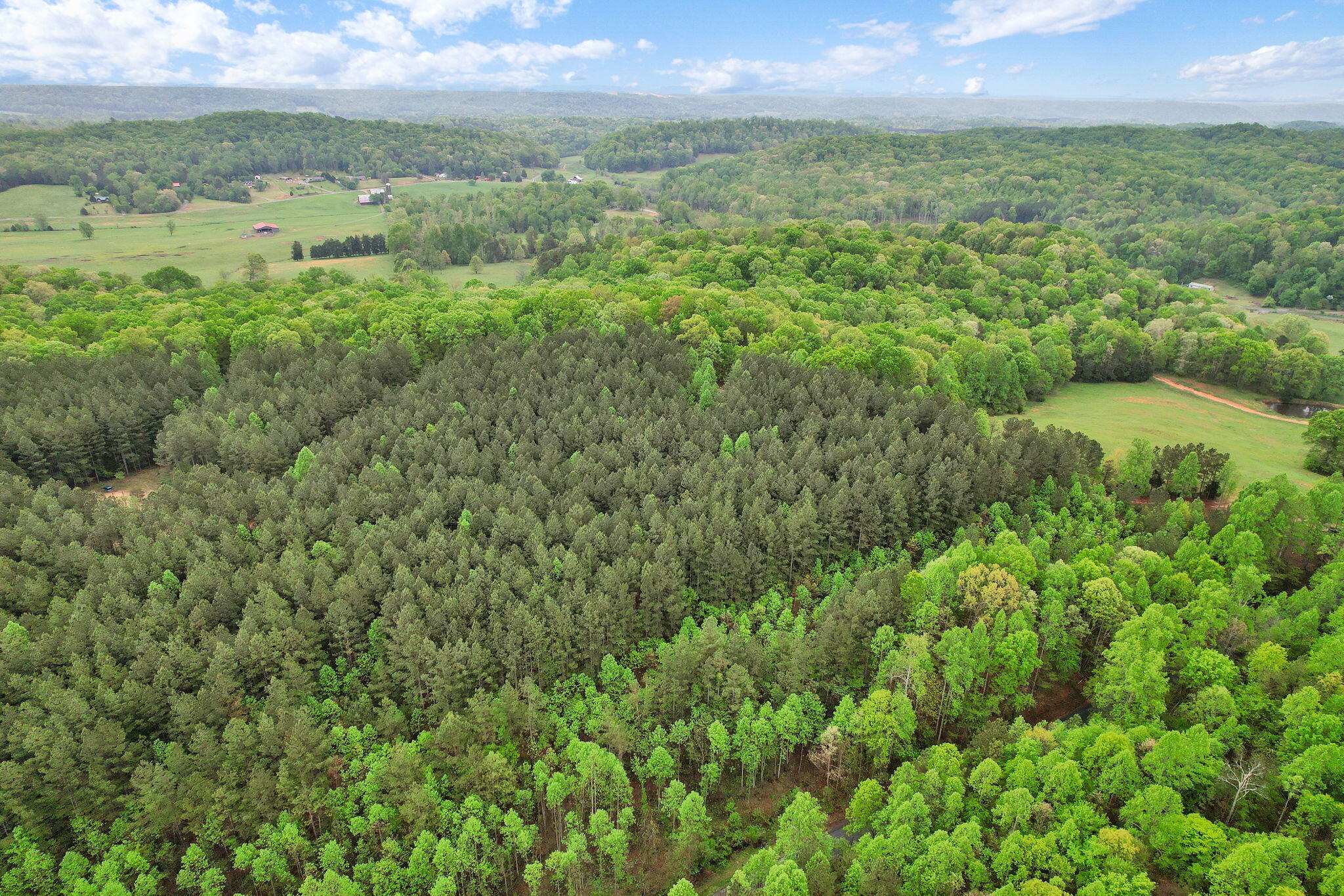 190 Sims Road Decatur, TN 37322 - Photo 11 of 12 3-web-or-mls-DJI_0015