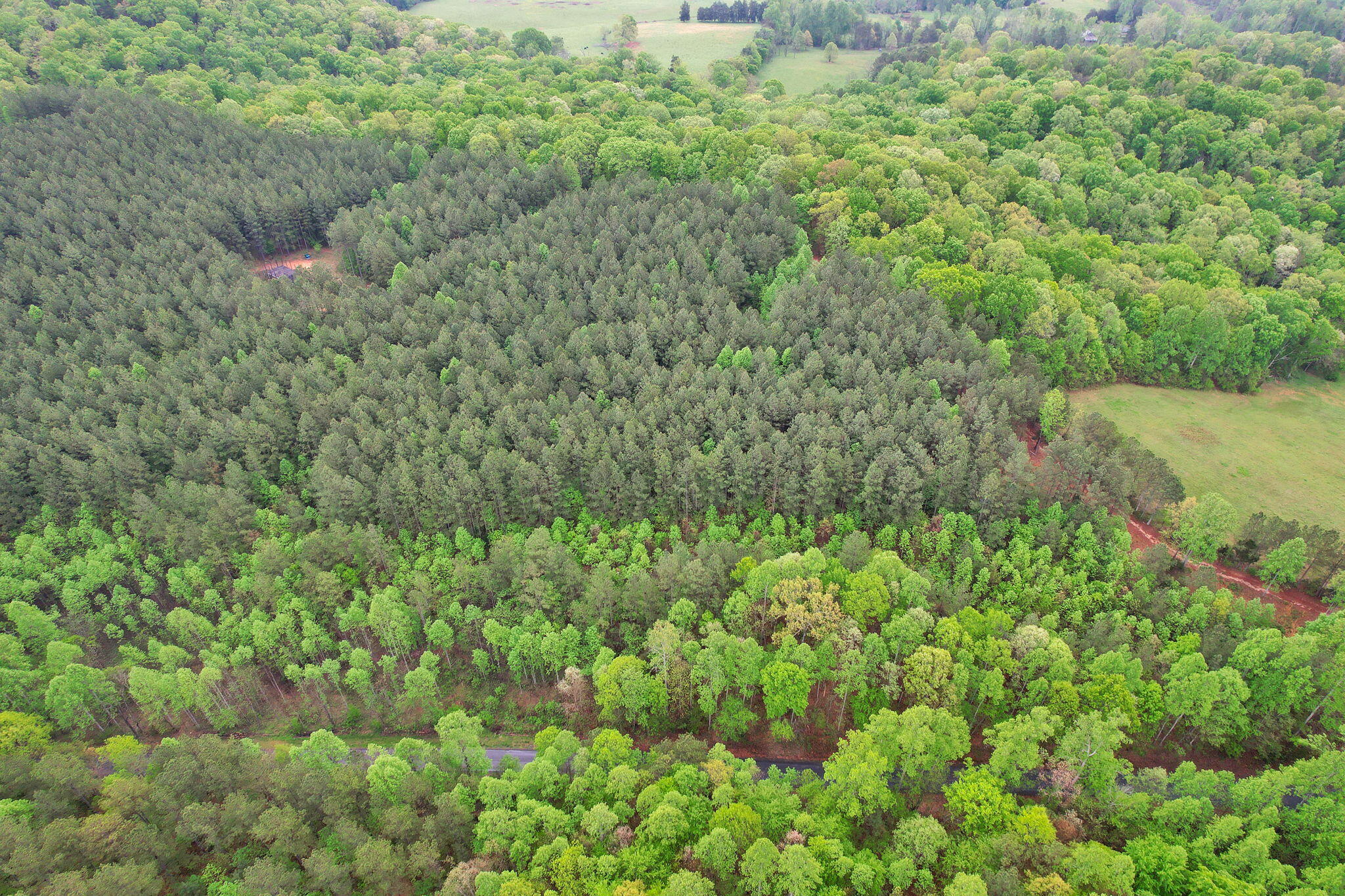 190 Sims Road Decatur, TN 37322 - Photo 12 of 12 2-web-or-mls-DJI_0014