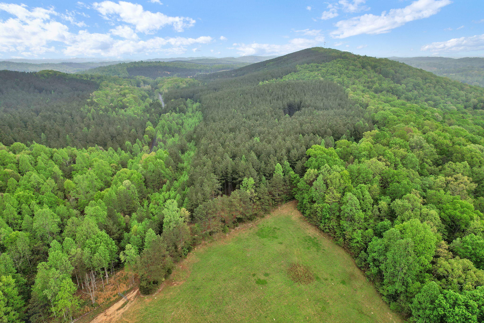 190 Sims Road Decatur, TN 37322 - Photo 5 of 12 9-web-or-mls-DJI_0024