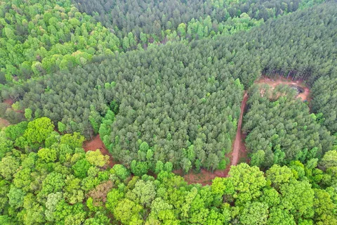 $242,500 | 190 Sims Road, Decatur, TN 37322