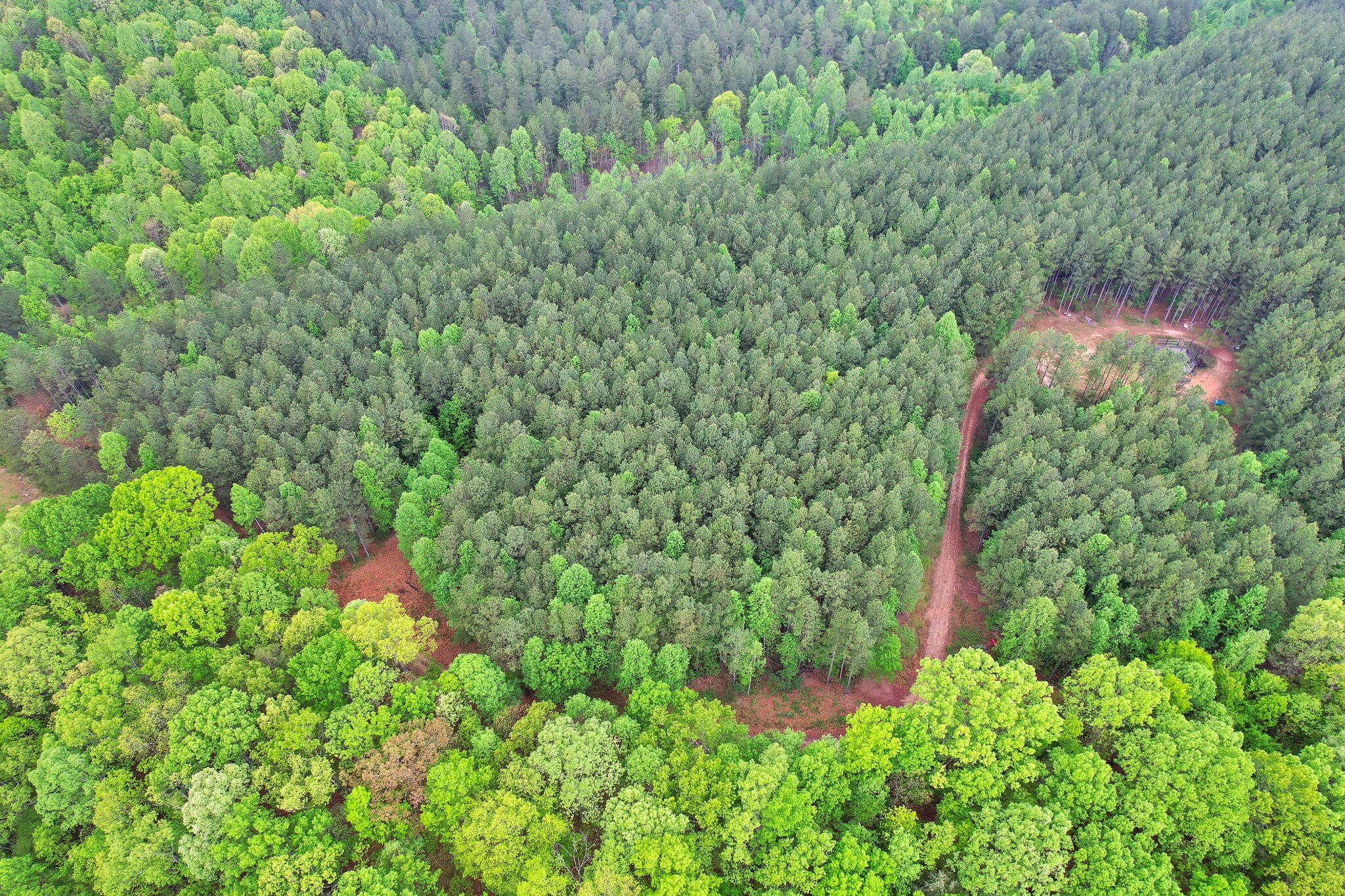 190 Sims Road Decatur, TN 37322 - Photo 6 of 12 8-web-or-mls-DJI_0021