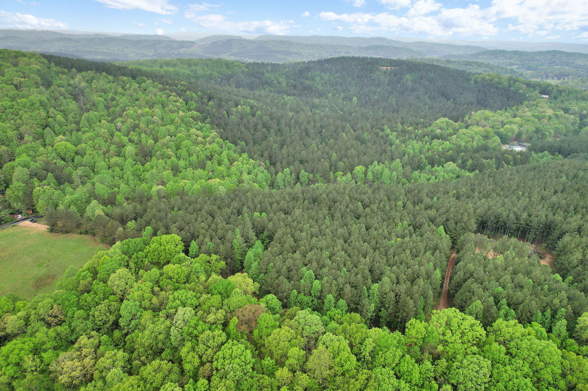 190 Sims Road Decatur, TN 37322 - Photo 7 of 12 7-web-or-mls-DJI_0020