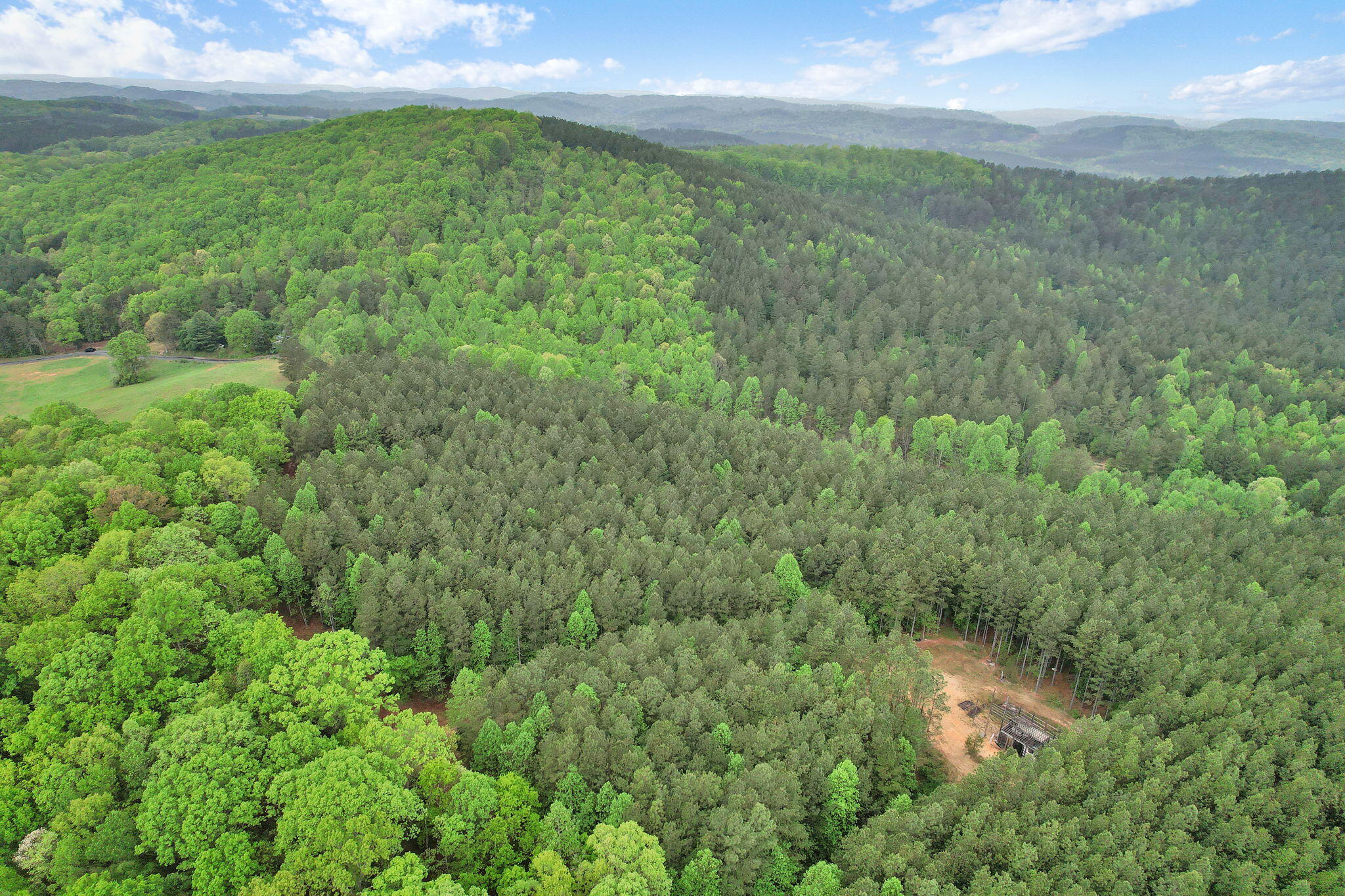 190 Sims Road Decatur, TN 37322 - Photo 9 of 12 5-web-or-mls-DJI_0018