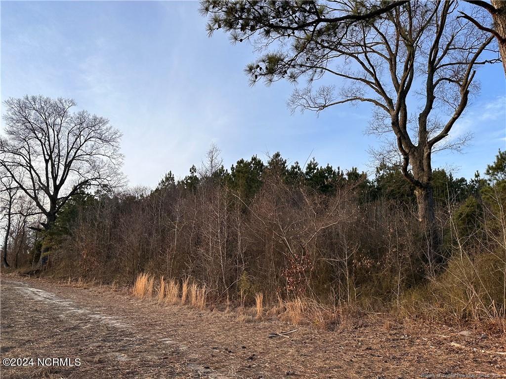 4 Townsendville Road Maxton, NC 28364 - Photo 3 of 4 GetMedia-3.ashx