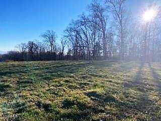 Lot 1 Meadow Road Greenback, TN 37742 - Photo 3 of 7 IMG9546561
