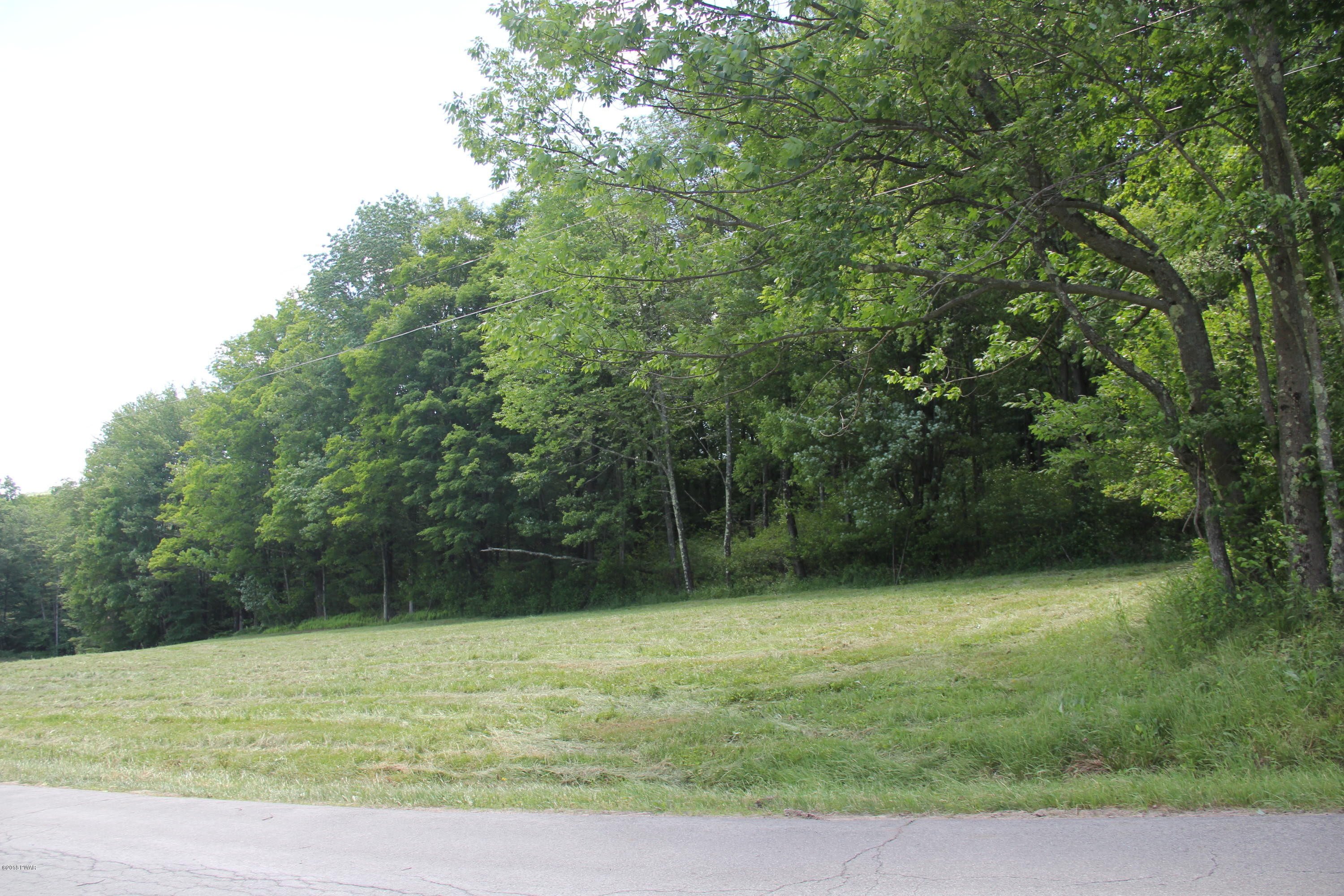 Old Danzer Road Livingston Manor, NY 12758 - Photo 2 of 4