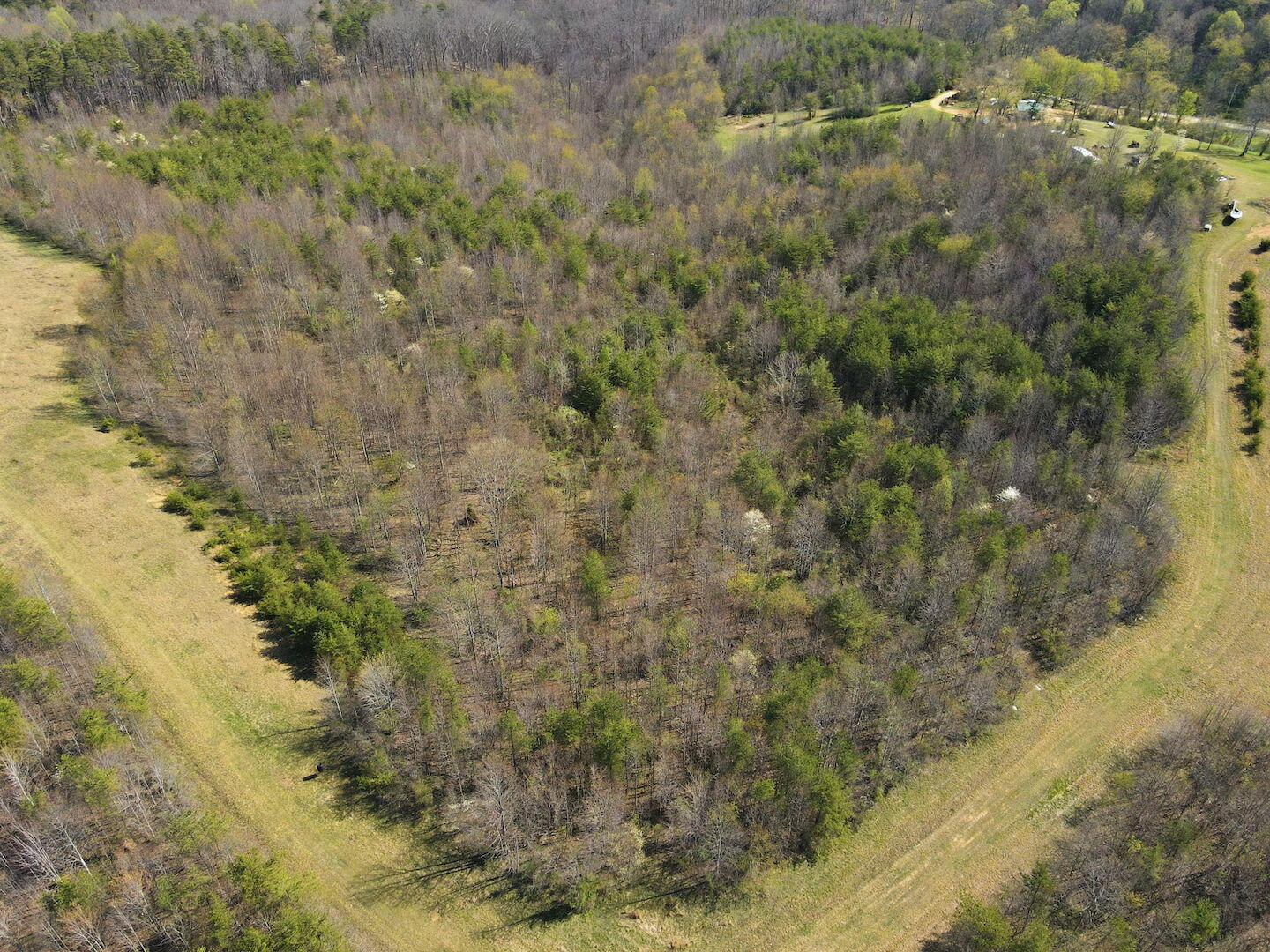 0 Roberts Road Jackson, OH 45640 - Photo 34 of 42 34-web-or-mls-DJI_0562