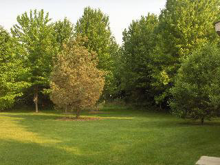 2428 Samaria Road Temperance, MI 48182 - Photo 2 of 16 766820-1.JPG