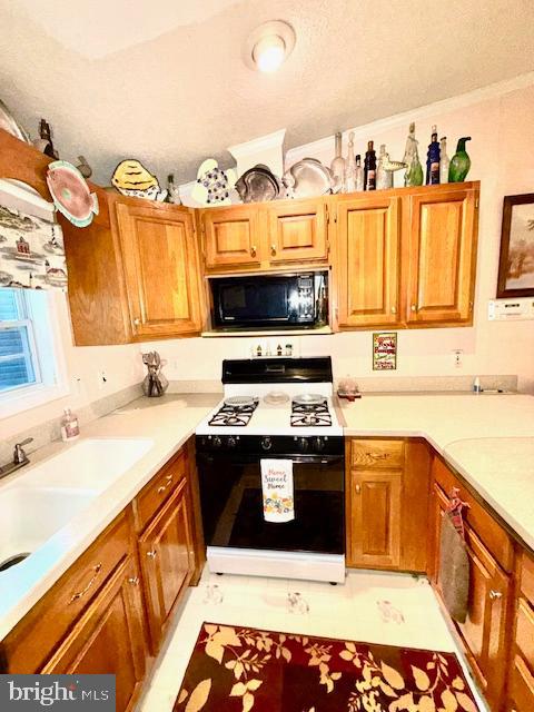 216 Timberline Circle Berlin, MD 21811 - Photo 15 of 31 a kitchen with stainless steel appliances granite countertop a stove a sink and a microwave
