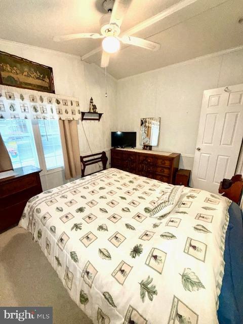 216 Timberline Circle Berlin, MD 21811 - Photo 18 of 31 a bedroom with a bed and a mirror