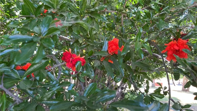 $900,000 | 21457 Pecan Street, Wildomar, CA 92595