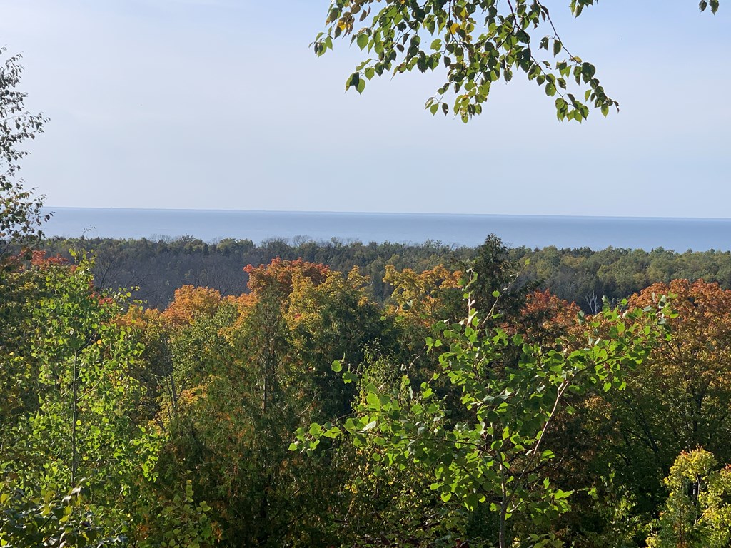 Lot 21 Daisy Patch Road Fish Creek, WI 54212 - Photo 5 of 6