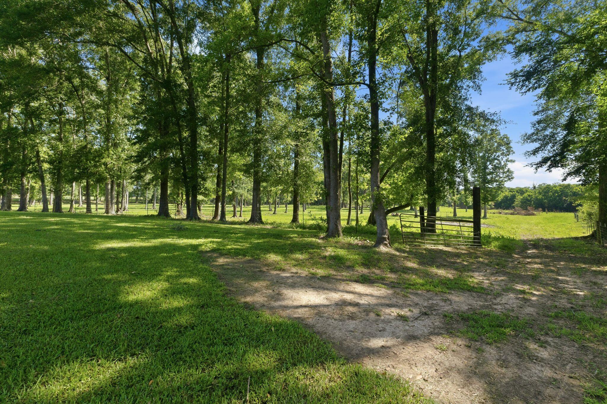225 Coats Road Magee, MS 39111 - Photo 67 of 87 Gallery Image 67