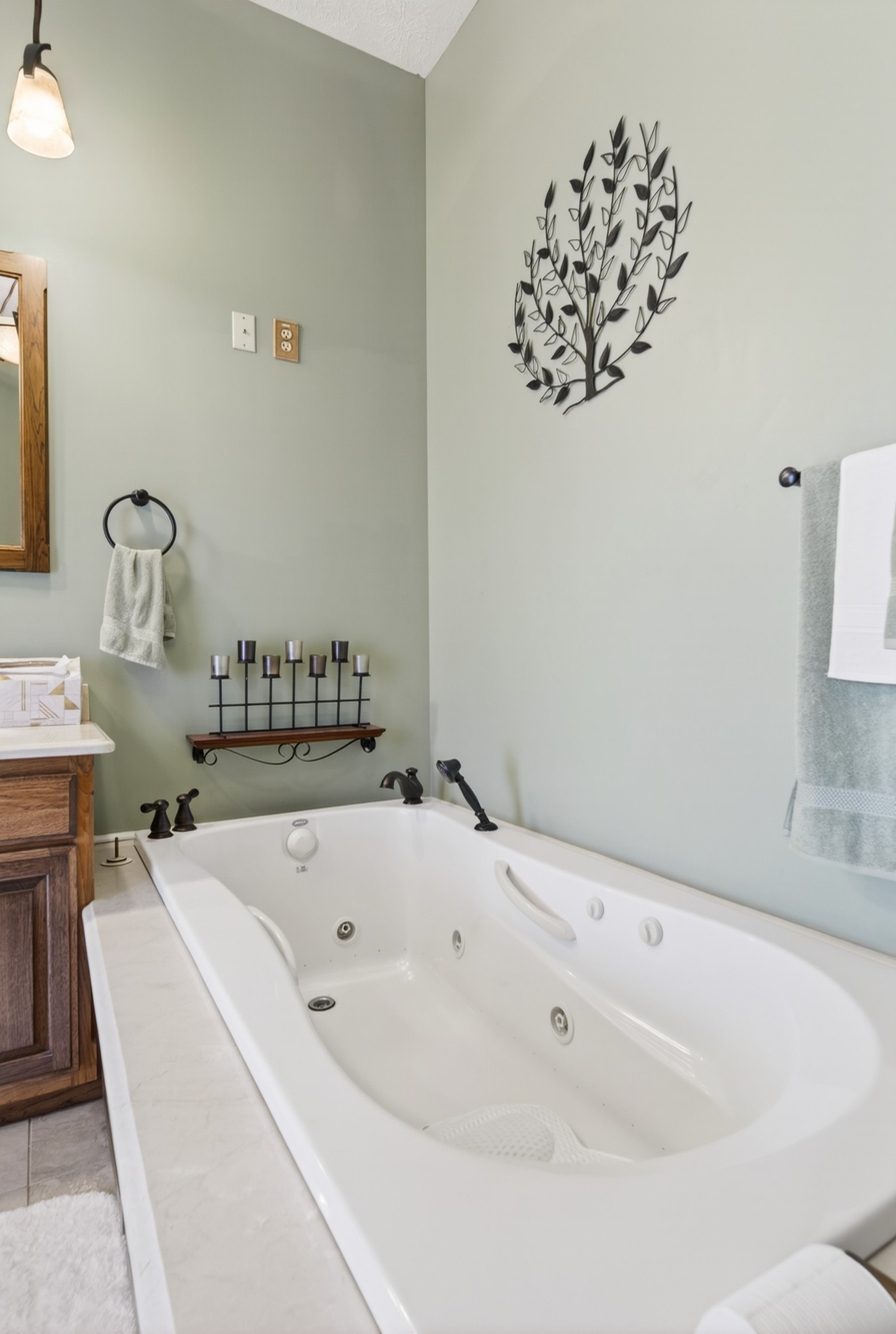 480 Mobley Road Clarksville, TN 37043 - Photo 60 of 100