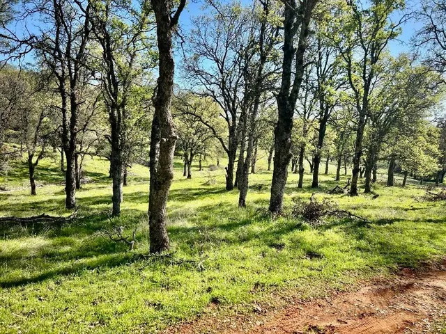 $695,300 | 790 Los Verjeles Road, Bangor, CA 95901