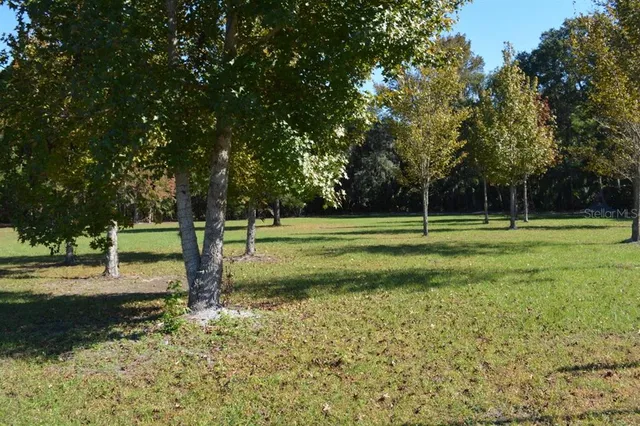 a view of a field with trees