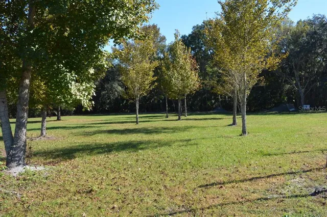 a view of yard with swimming pool and trees