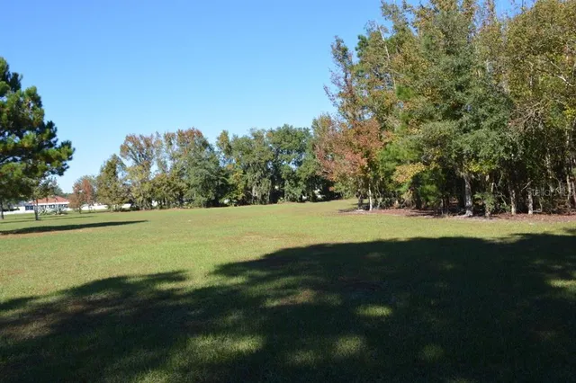 a view of outdoor space with trees all around