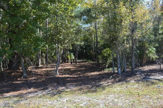 $550,000 | 0 Hester Avenue, Sanford, FL 32773