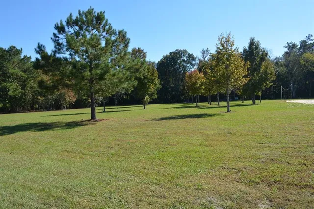a view of a tennis ground with trees in the background