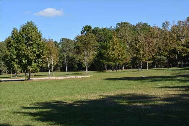 a view of a grassy field with trees