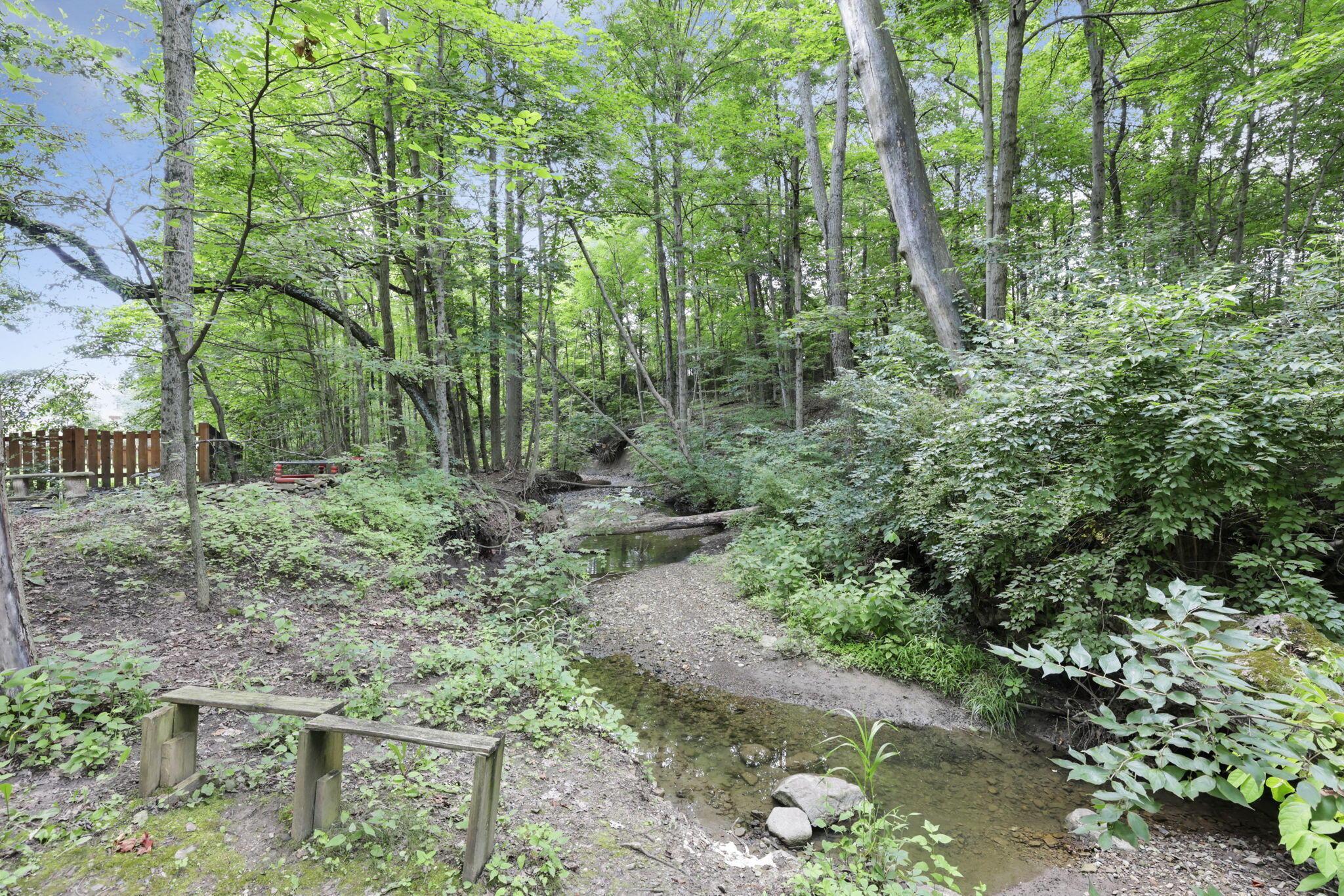 437 Barrington Ridge Pataskala, OH 43062 - Photo 59 of 66 78-web-or-mls-011A0761