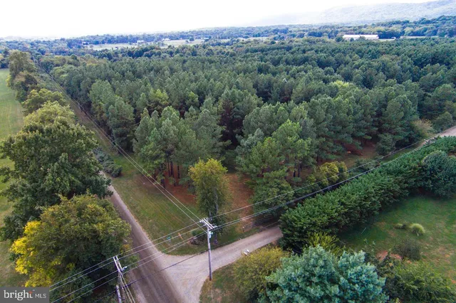 a view of a city with lush green forest