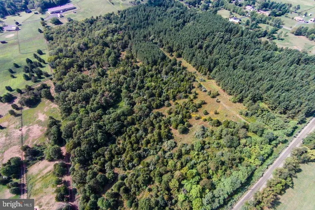 a view of city and mountain