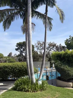 $450,000 | 4296 Fifth Avenue, San Diego, CA 92103