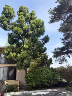 $450,000 | 4296 Fifth Avenue, San Diego, CA 92103