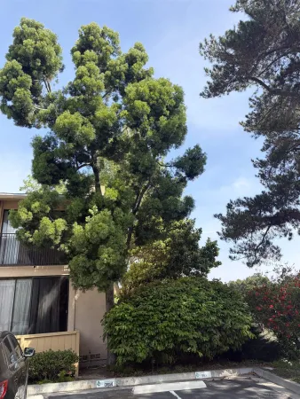$450,000 | 4296 Fifth Avenue, San Diego, CA 92103
