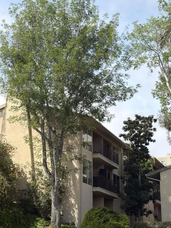$450,000 | 4296 Fifth Avenue, San Diego, CA 92103